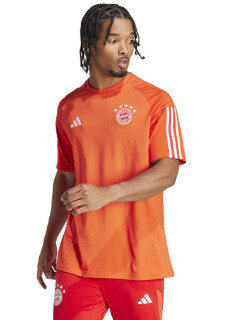 Adidas FC Bayern CO Tee M IQ0601