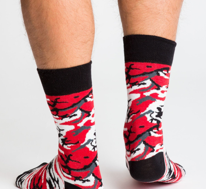 Ponožky WS SR 5544.06X vícebarevný